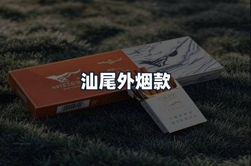 汕尾外烟款